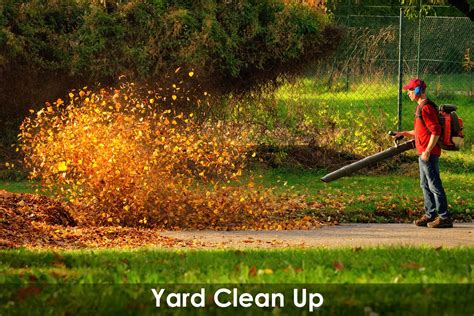 Yard clean up services. Things To Know About Yard clean up services. 